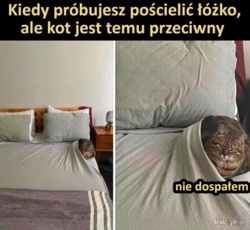 16c37d03-cb71-4f3c-bd43-f1e262770b86