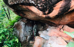 Wielka archeologiczna zagadka z Tajlandii. W dżungli znaleźli nieznane sanktuarium