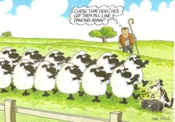 e0c0784f-3733-42a0-9d8c-6bdb3c473595