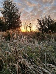 880db02b-df71-4c1b-a336-991b5fd32741