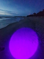 c04269a7-8476-4a68-a157-7a85a3db4f3b