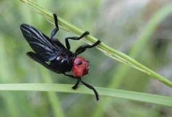 085a9065-31b6-4b14-96ff-036991f4c350