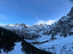 b48e049c-c0c8-4652-b849-c47c8fc783ca