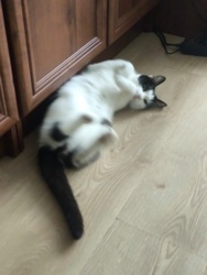 9395c3bb-2ea6-43a5-95fb-d9b06d7c3d34