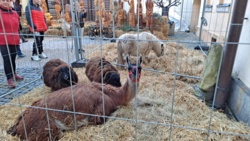 e5d279b3-a6d9-44e1-ac87-dfab073b96e8