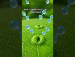 Historia Ziemi - jak życie wyszło na ląd