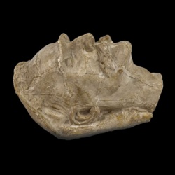 Unikatowe pamiątki po Józefie Piłsudskim i Henryku Dobrzańskim trafią na aukcję