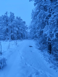 f512eaa6-c606-4b3b-93c8-05f70c047d4f