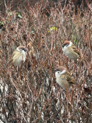 4e096260-ecb6-4802-821d-2c22400ed404