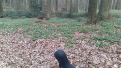 10628acb-8c09-4cd8-9e93-1a05feeed47b