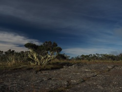 9e329846-062c-4f3a-9be5-9619a8af6009