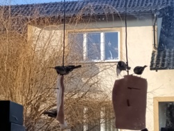 550858da-ad05-4162-ae4b-93da8f847624