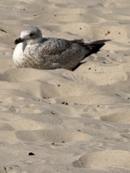 e80008b9-0b37-40c0-a3d8-6013a84db670