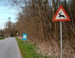 5258d5e9-c026-484d-9e40-9c09a07495e7