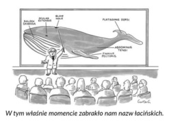 618ce1b0-5c45-4961-b831-190d320f86f6