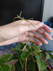 54d408ef-7d23-44df-b465-c932dafe2047