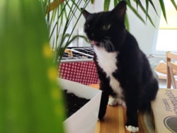 dad1807f-57c8-4e9e-a0d5-4e77e275843a