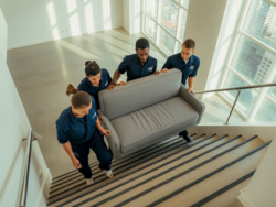 d8c18d94-14e2-4453-be59-bd59903ffcad