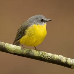 8b2d3fa0-f125-4004-8791-f97918b20ead