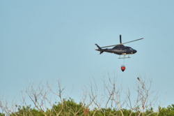 4f0c75a3-bf4b-4e30-9291-45b738dba86e