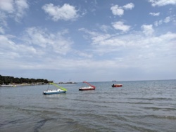 33570f34-4705-4acc-9a59-ee2f15d86f94