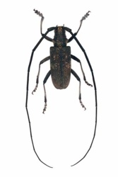 083e1fab-d06d-4aff-896d-d7b6b3fce511