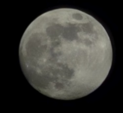 9733ac34-4072-42ca-b94a-b9460dc1f838