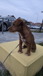 675cd876-bc8a-4085-a56f-e25f928afc7f