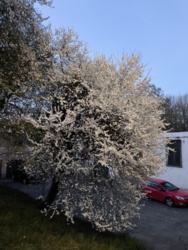 73bc7a1b-5a26-4572-95bc-f657e005172d