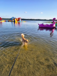 97574d8d-e16c-4e7a-8f93-64c51a80a1af