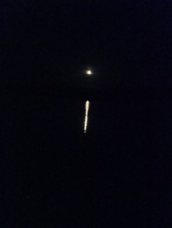 1efe0953-3e25-44cc-8692-ebae1a1ba0bc