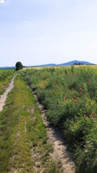 8b2140ad-c077-4dbd-b9d7-7ae1729f4dbc