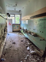 b485d314-3858-4994-8e45-ba49464a4d41