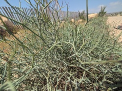 56958546-0e0a-433a-870d-18451c96ad8d