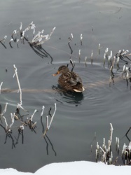 087714eb-dfac-404a-a6fc-daaaee7ca50e