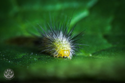 f1a00b89-e377-4ebf-8ec8-89d57deecdb5