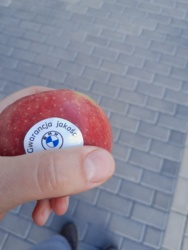 1c1f52bb-8b8e-467e-ab71-c911648b4ef6