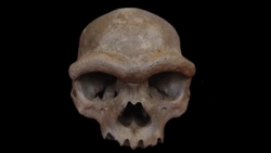 7f18aefd-7514-42b5-a358-d988946c4c4d