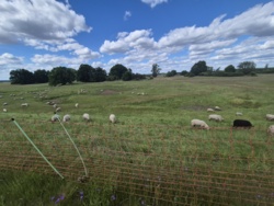 660c6e33-5113-486a-a8e9-6eda01c2c279