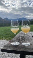 42d3187e-defe-42c5-8f2e-ed90ad1ff801