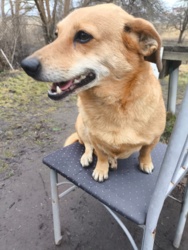 373d0bbf-8a67-45b3-b757-9a66f92970b5