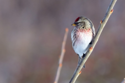 15c0e6a0-e2ed-429a-8cfd-5faaddcc56c9