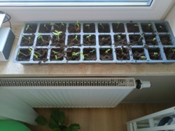 03c8798c-b856-4b48-8b07-5eb099014561