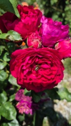 47955db6-b816-474b-99a5-1b3aa4c4ad92