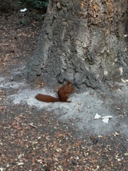 f8c77890-9bba-46f4-a80d-38b263daa571