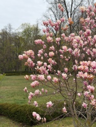 ab39df9d-909a-4f08-992f-a6e2a1ec59ae