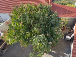 0e456cd9-66c6-4580-9d2d-5cf10ba33e35