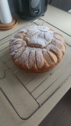 d9a1e271-0e6f-4d4f-83ab-724352adbbf3