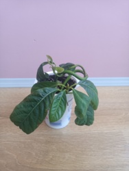 61664c5b-76ee-473f-ada7-8b7b70c1164e