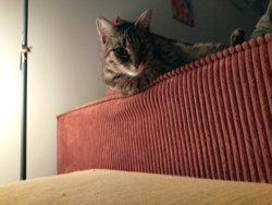 1a5d9466-8df1-4a84-a847-c79212571beb